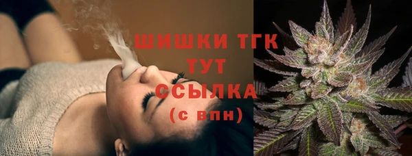 мдпв Козельск