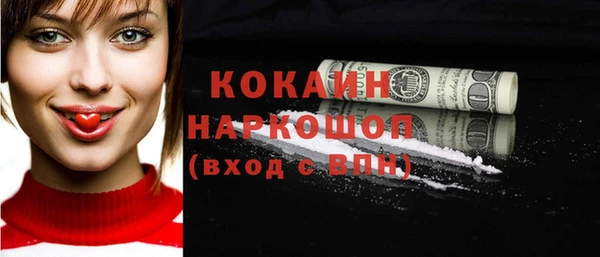 СК Няндома