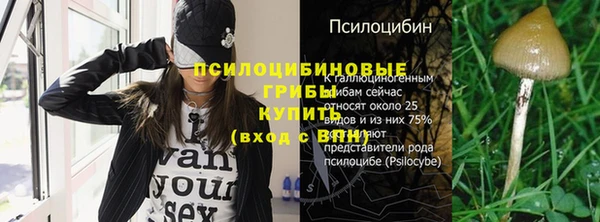 МДМА Горнозаводск