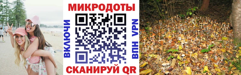 Галлюциногенные грибы Cubensis  Мышкин 